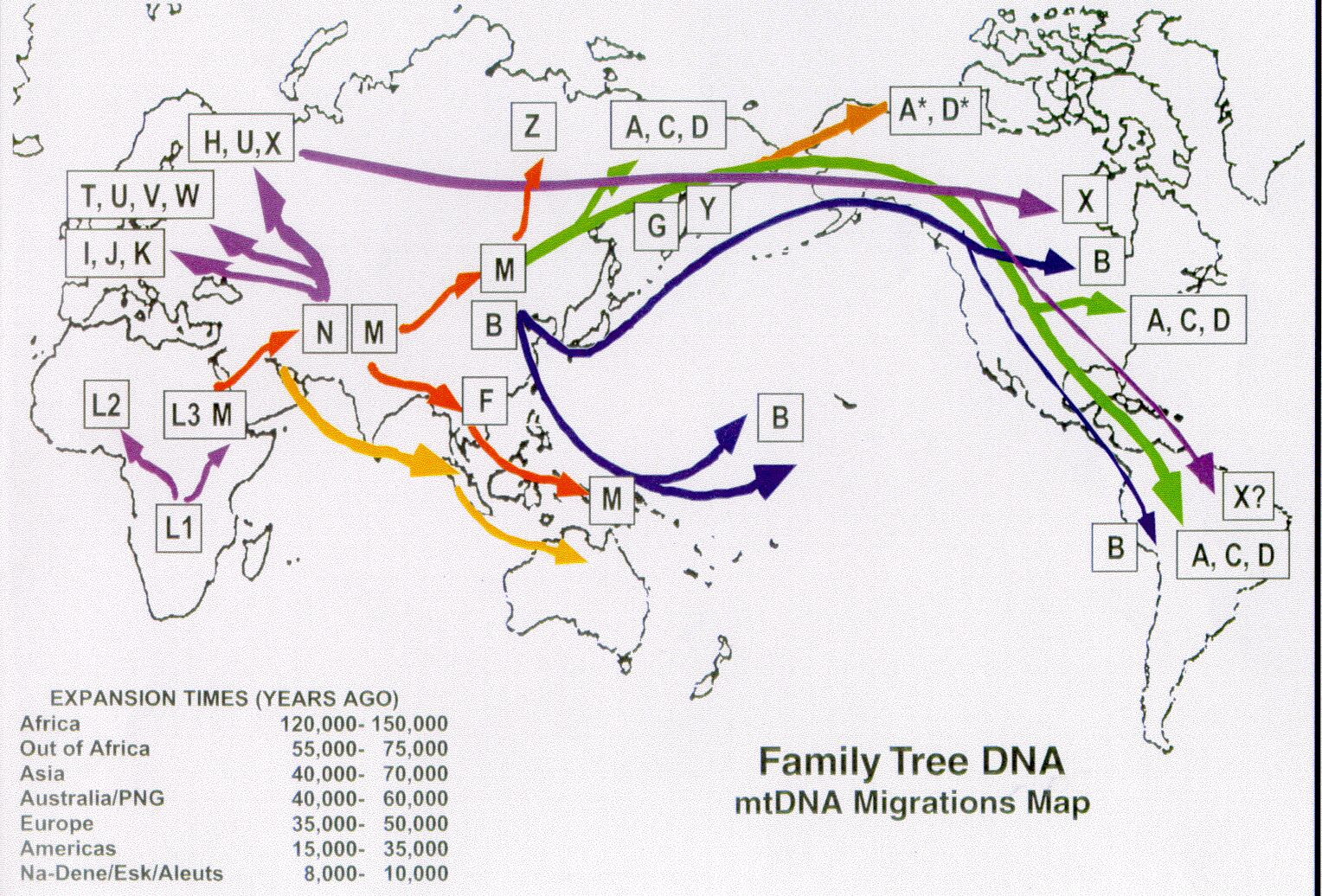 Migration history (1950-2010)